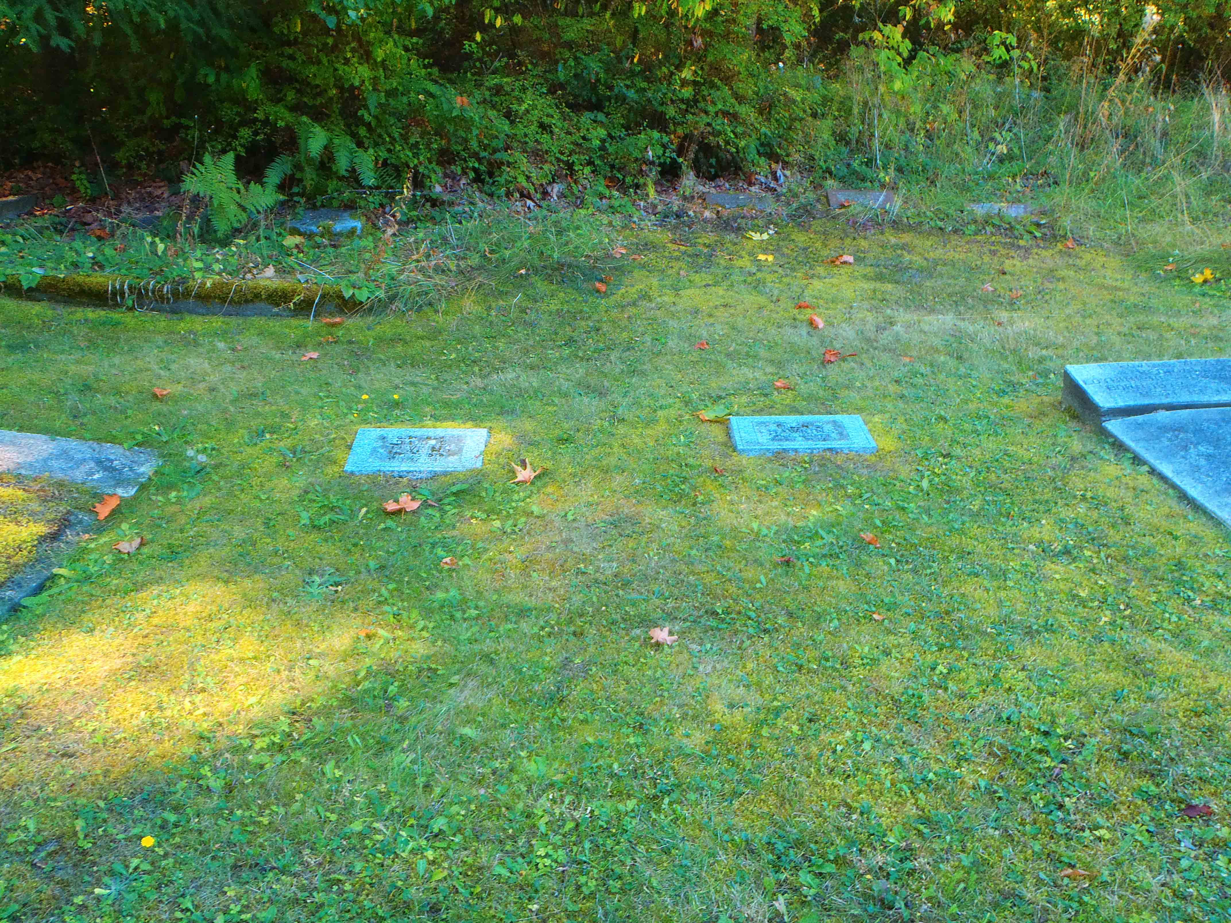 Edmund Coston Hawkins' family plot, All Saints Anglican Cemetery, Westholme